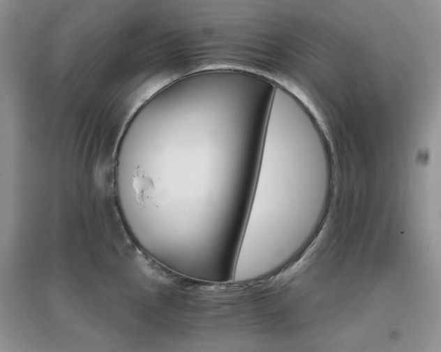 X0000096971145200802081246