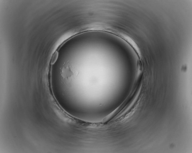 X0000096971146200802081246