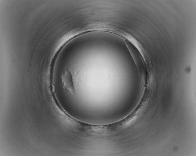 X0000096971147200802081246