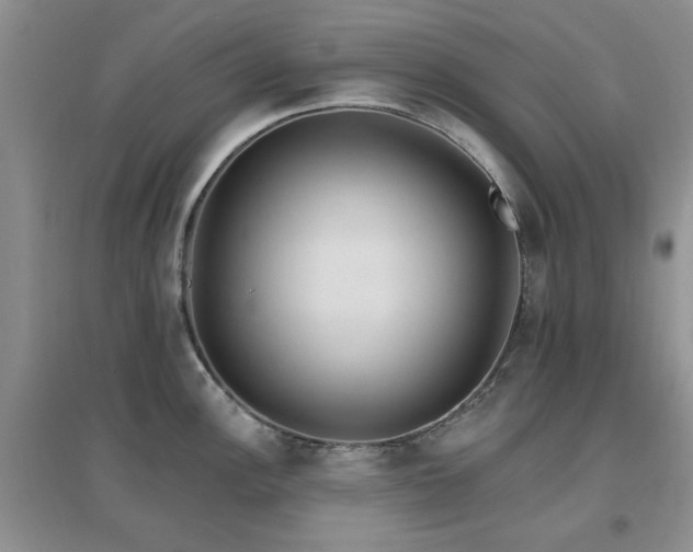 X0000096971148200802081246