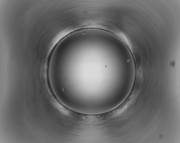 X0000096971149200802081246