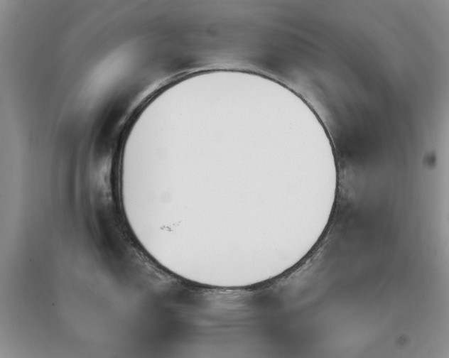 X0000096971150200802081246