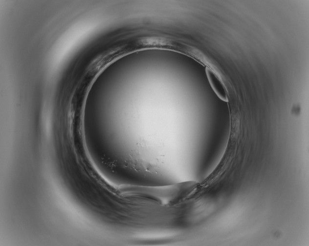 X0000096971151200802081246