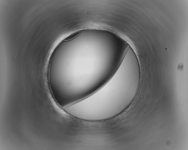 X0000096971152200802081246