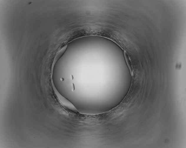 X0000096971153200802081246