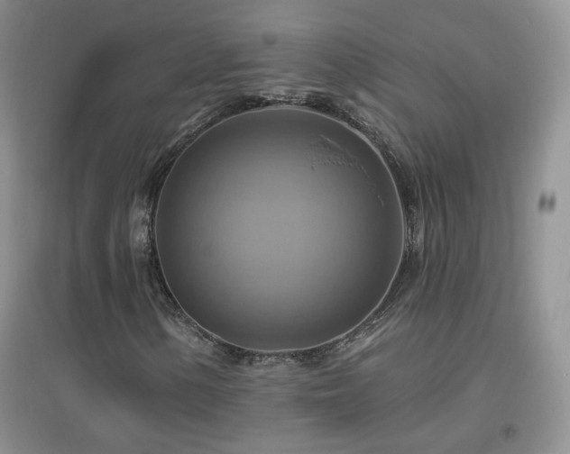 X0000096971154200802081246