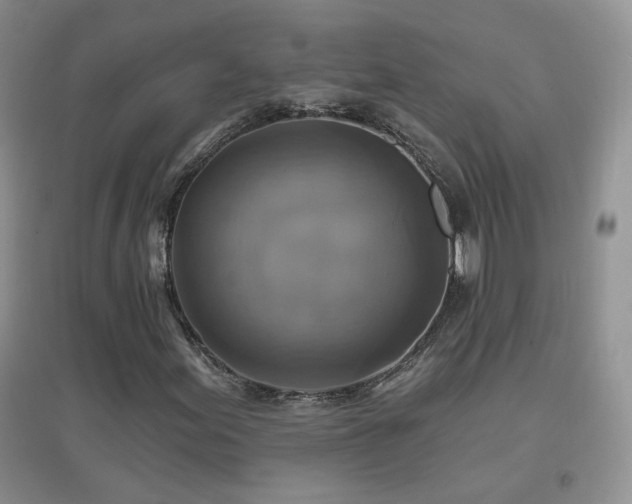 X0000096971155200802081245