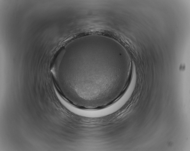 X0000096971156200802081245