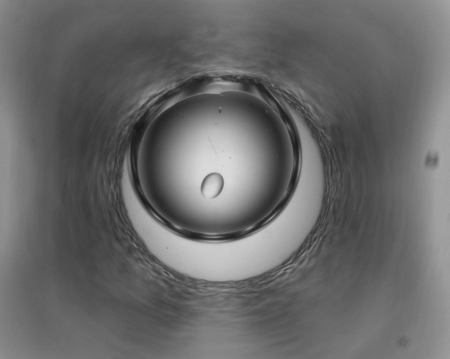 X0000096971157200802081245