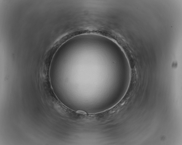 X0000096971158200802081245