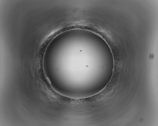 X0000096971159200802081245