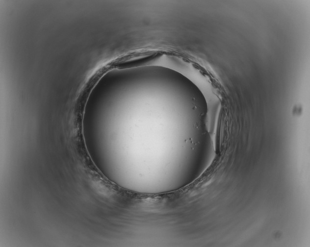 X0000096971160200802081245