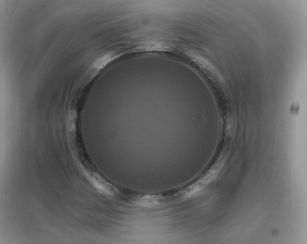 X0000096971161200802081245