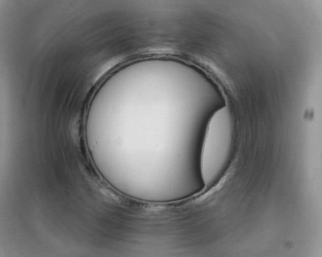 X0000096971162200802081245