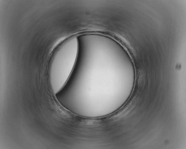 X0000096971163200802081245