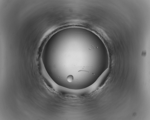 X0000096971164200802081245