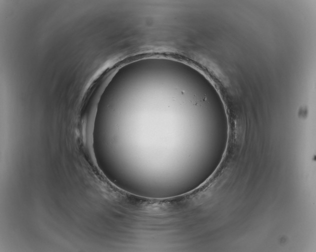 X0000096971165200802081245