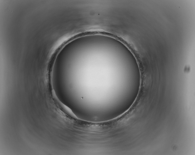 X0000096971167200802081245