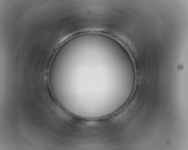 X0000096971169200802081245