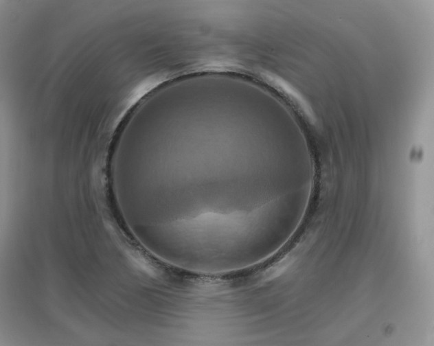 X0000096971170200802081245