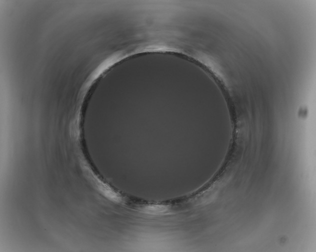 X0000096971173200802081245