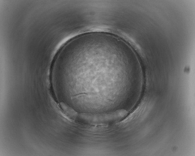 X0000096971174200802081245
