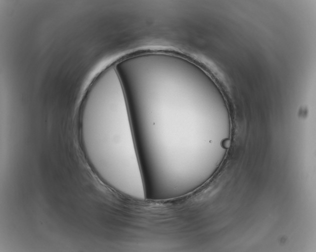 X0000096971175200802081245