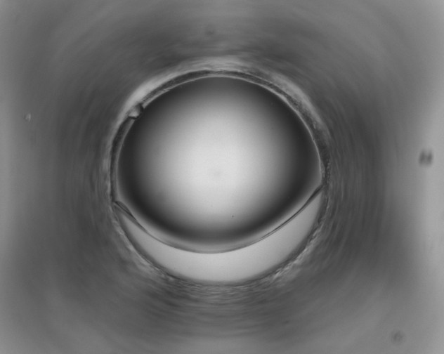 X0000096971176200802081245