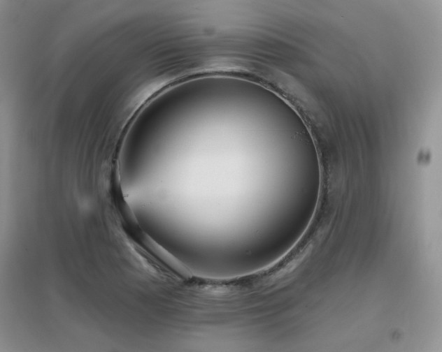 X0000096971177200802081245