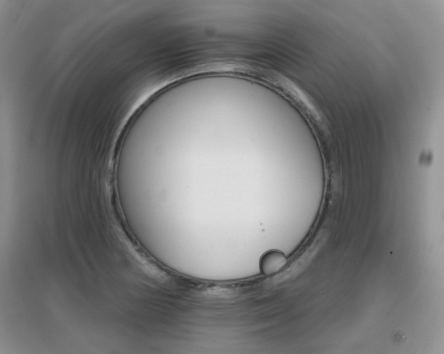 X0000096971178200802081245