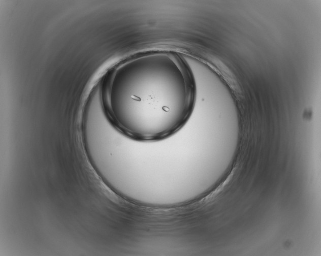 X0000096971180200802081245