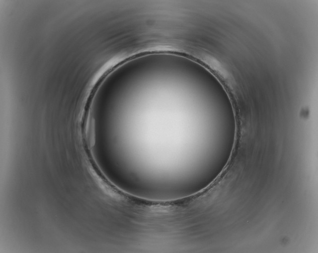 X0000096971181200802081245