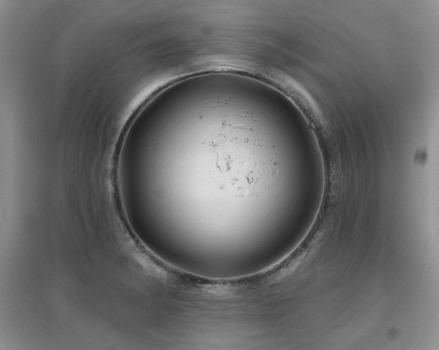X0000096971182200802081245