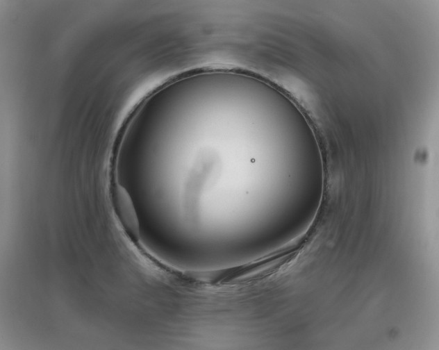 X0000096971183200802081245
