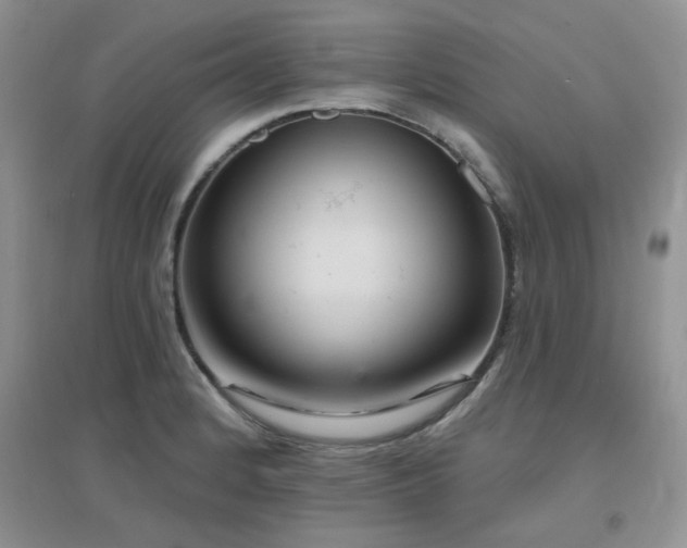 X0000096971184200802081245