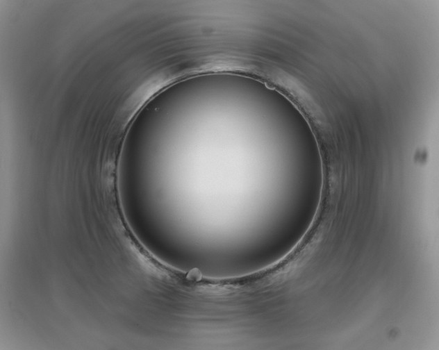 X0000096971185200802081245