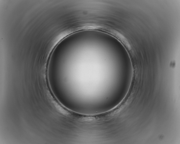 X0000096971186200802081245