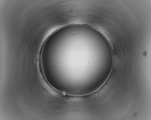 X0000096971187200802081245