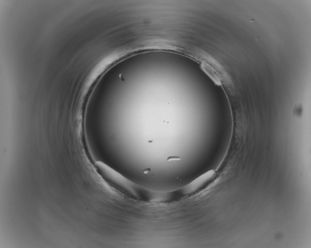 X0000096971188200802081245