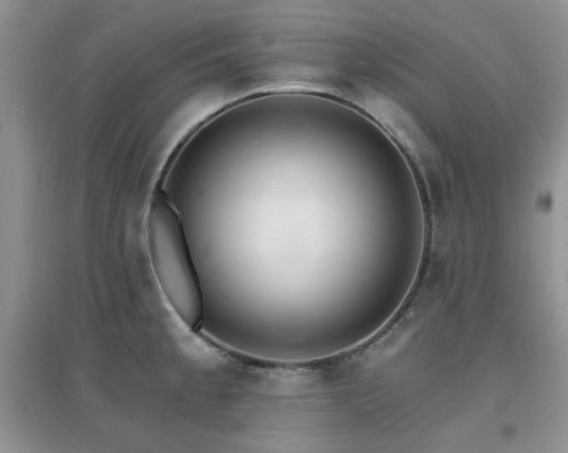 X0000096971189200802081245