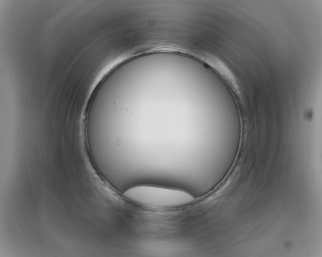 X0000096971190200802081245