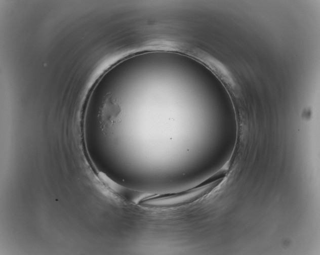 X0000096971192200802081245