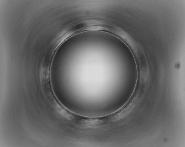 X0000096971193200802081245