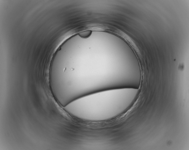 X0000096971194200802081245