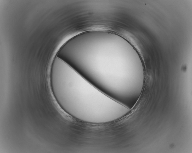 X0000096971195200802081245