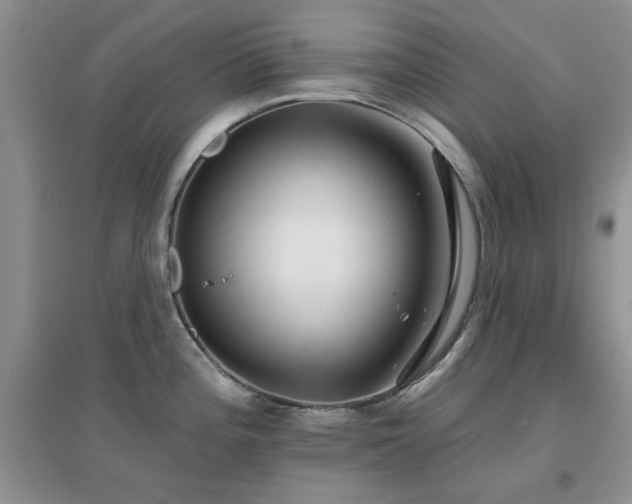 X0000096971196200802081245