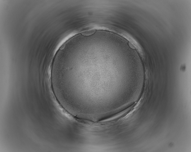 X0000096971198200802081245