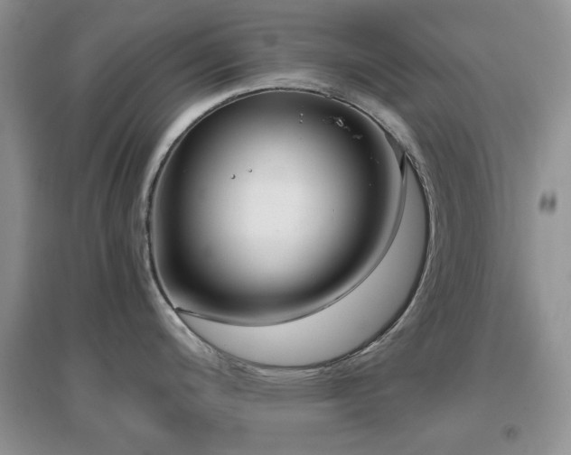 X0000096971200200802081245