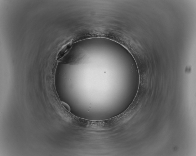 X0000096971201200802081244