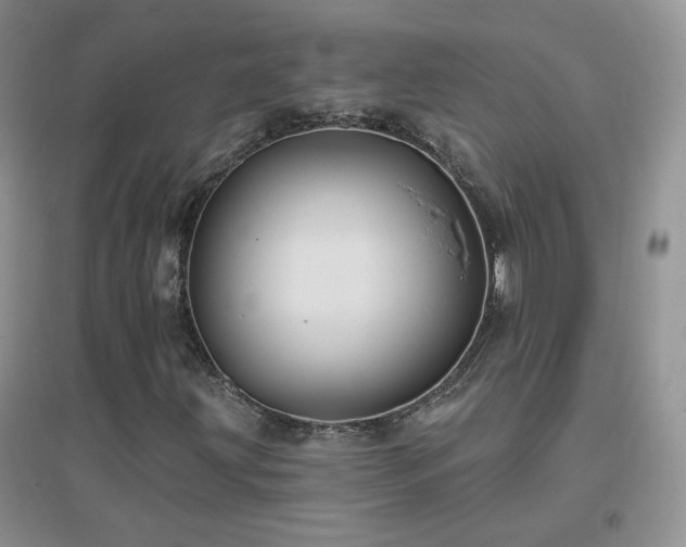 X0000096971203200802081244